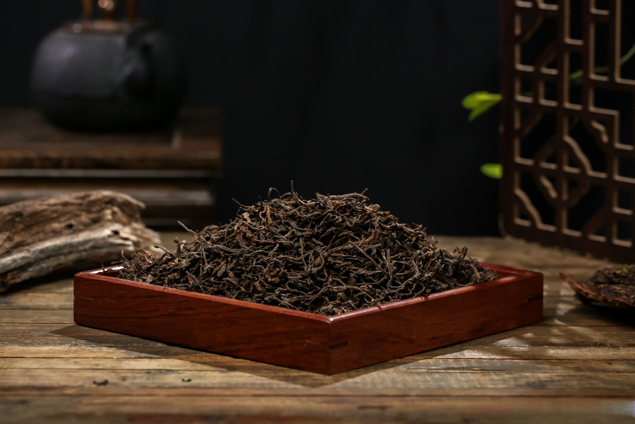中国云南是茶树原产地-滇史网