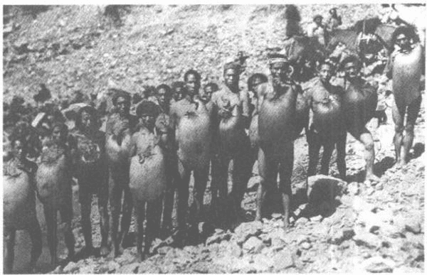 元跨革囊踪迹-滇史网