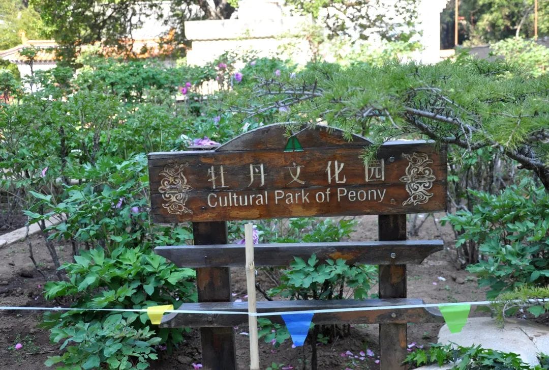 20240428145547529-8013c5ddadb1f6c97c196f1c819fef02