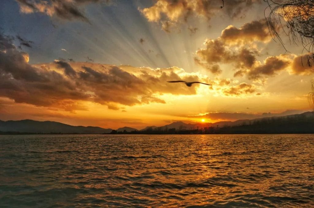 20240428151209717-a65d153a2bd4dc720043e26e08474ff4