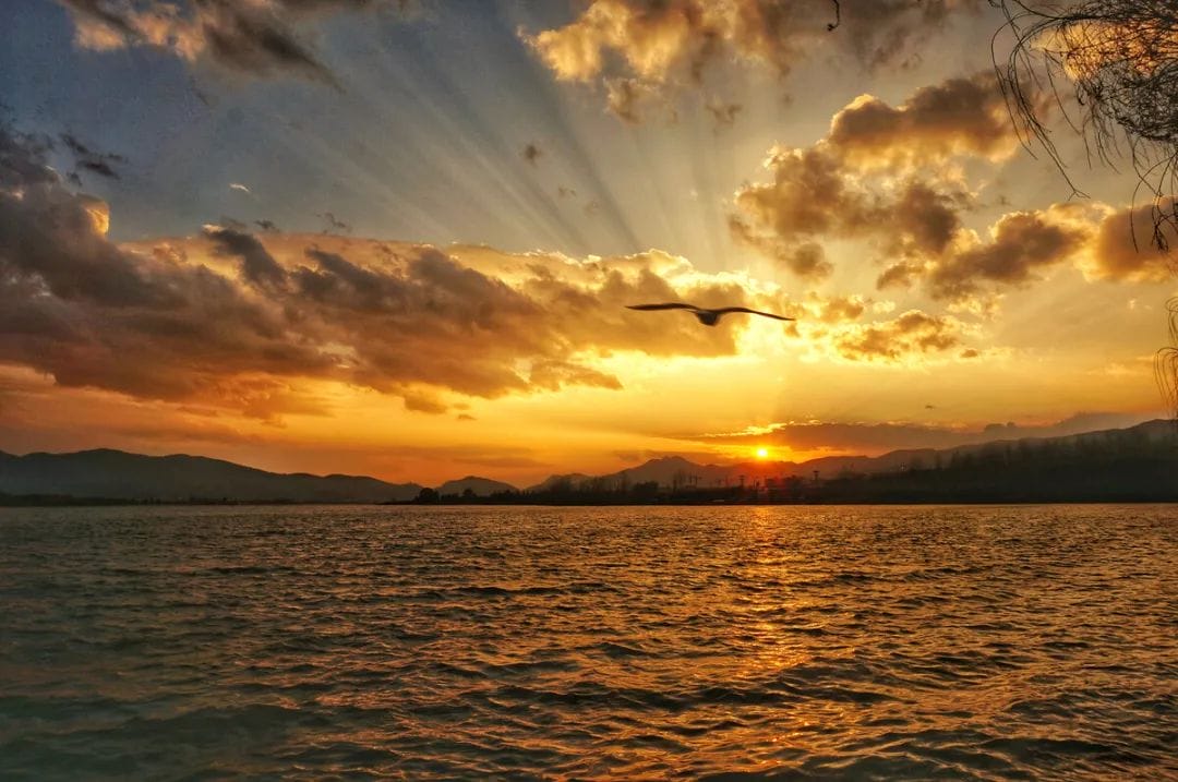 20240428151209717-a65d153a2bd4dc720043e26e08474ff4