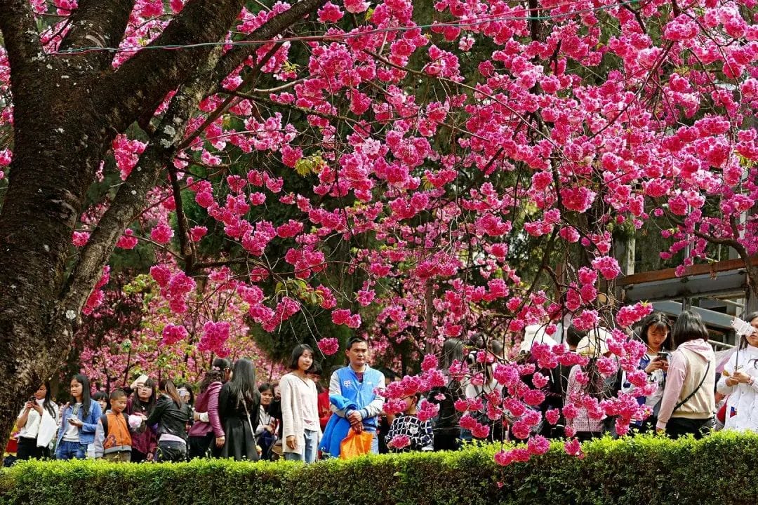 20240428151225660-4c07277a48f1e53f6be95c7077fc8df7