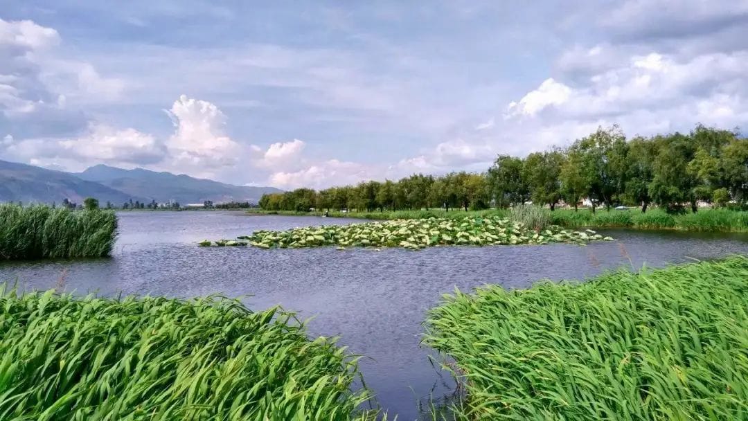 滇池余韵：草海-滇史网