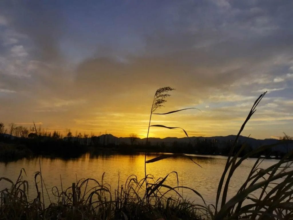 滇池余韵：草海-滇史网