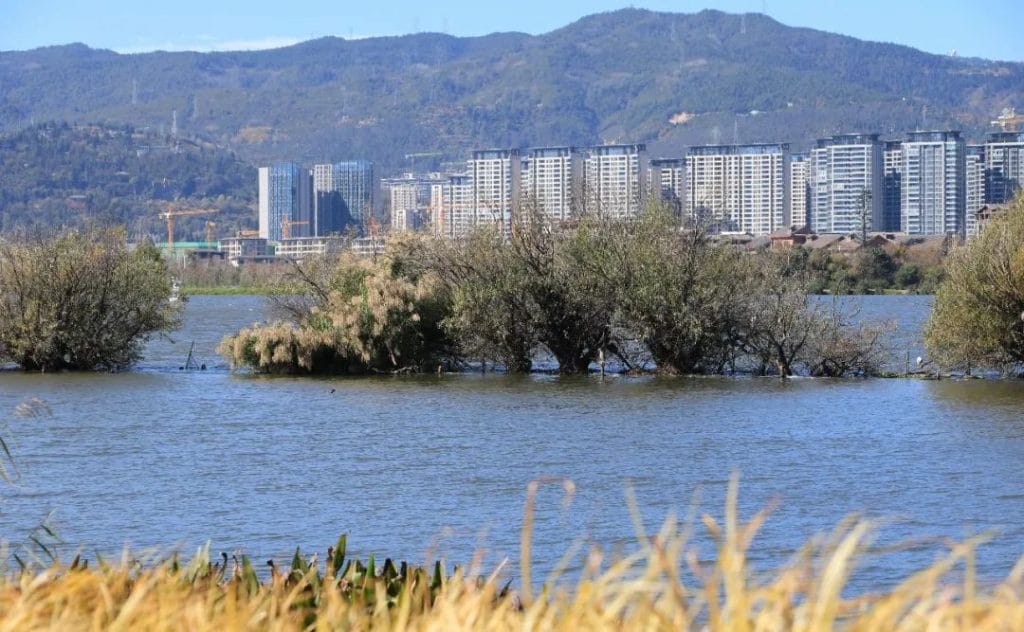 滇池余韵：草海-滇史网