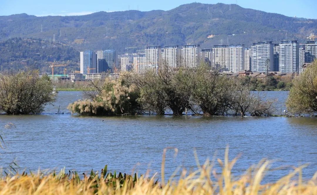 滇池余韵：草海-滇史网