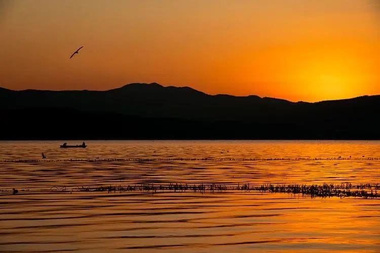 滇池余韵：草海-滇史网