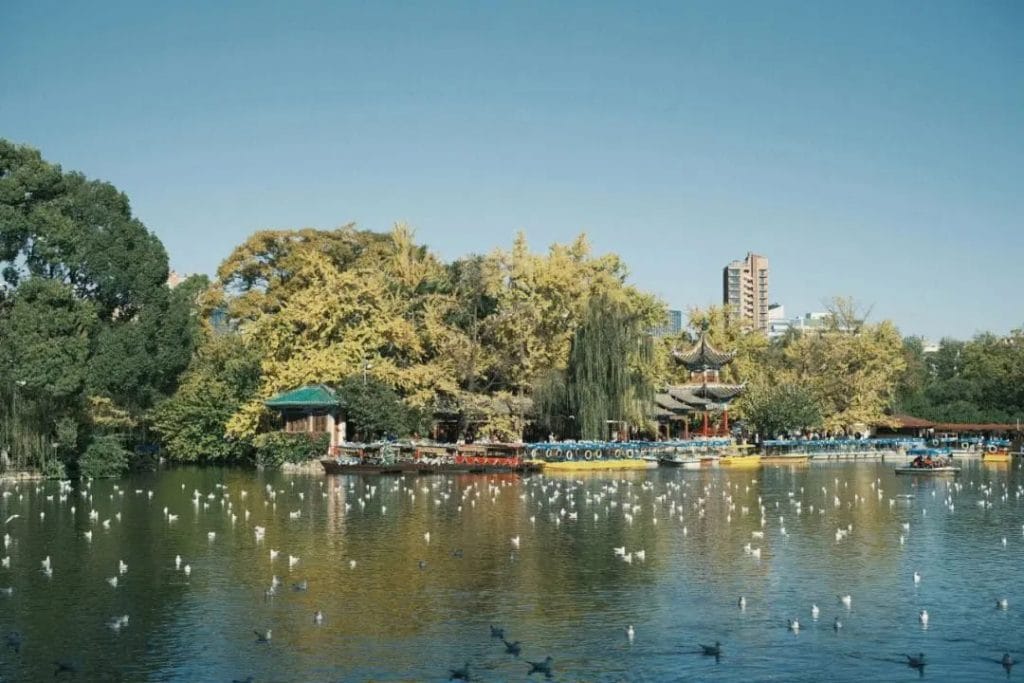 滇池的小女儿：翠湖-滇史网