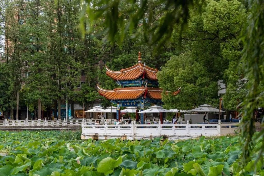 20240428154204244-24d479900b781c617c89625de7cd5322