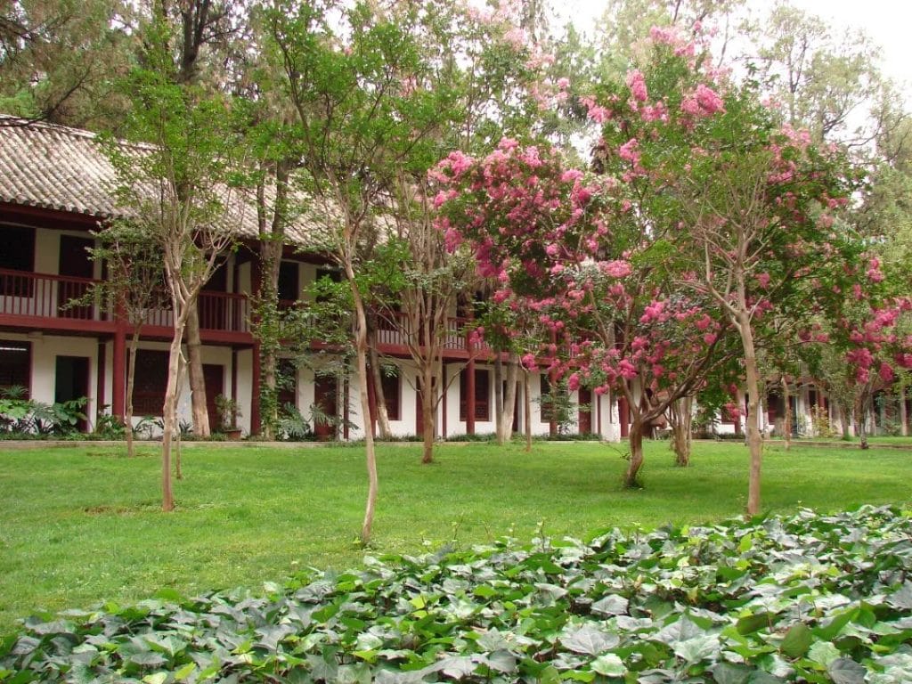 20240428154219640-439fb8d710b060a6e30e37d986a94500