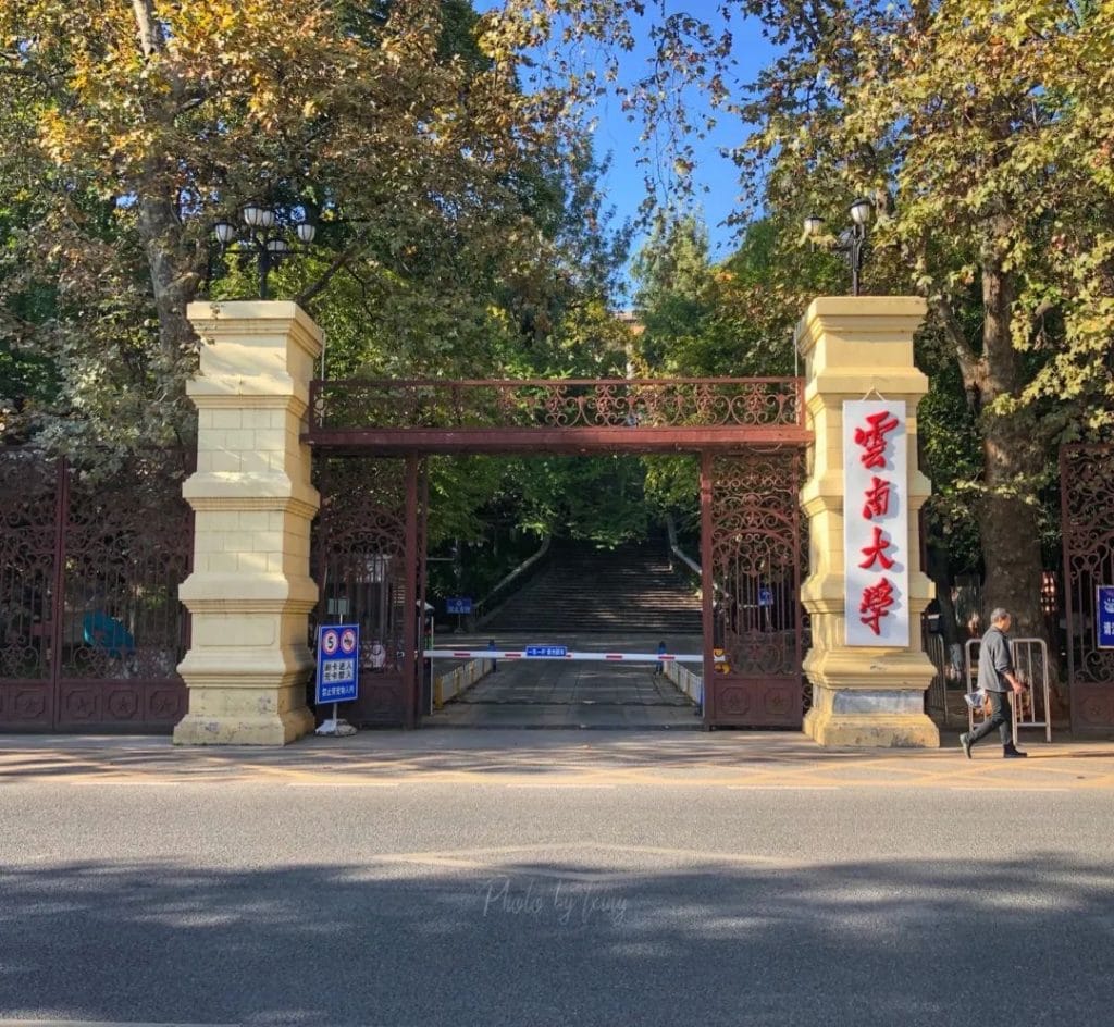 20240428154234138-2b1e519a018621fb18b3fa8fad9a4126