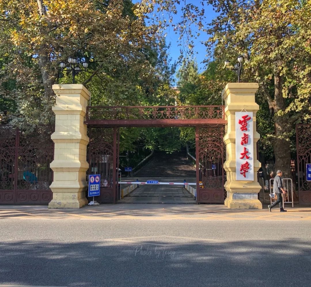 20240428154234138-2b1e519a018621fb18b3fa8fad9a4126