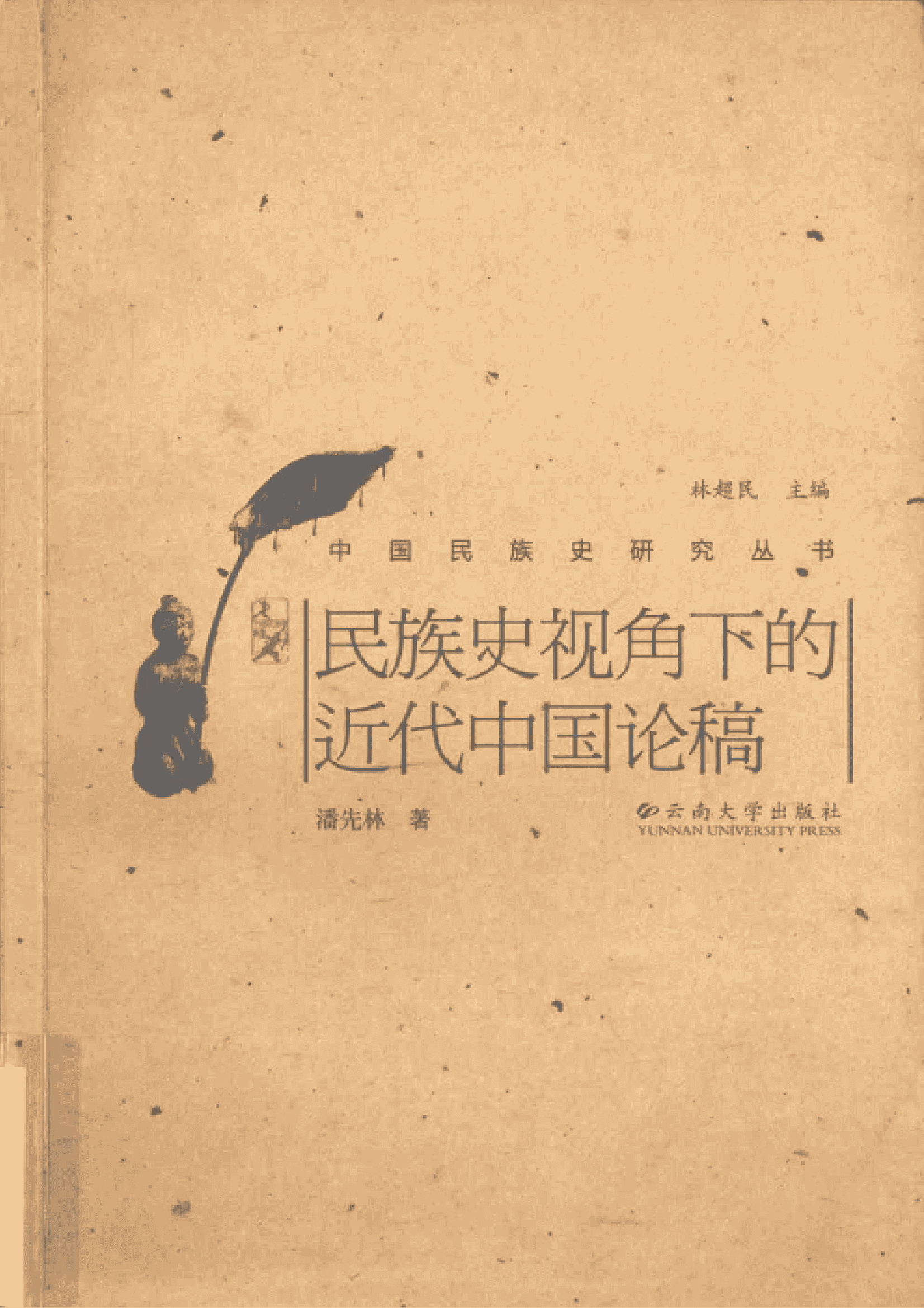 潘先林著：《民族史视角下的近代中国论稿》-滇史网