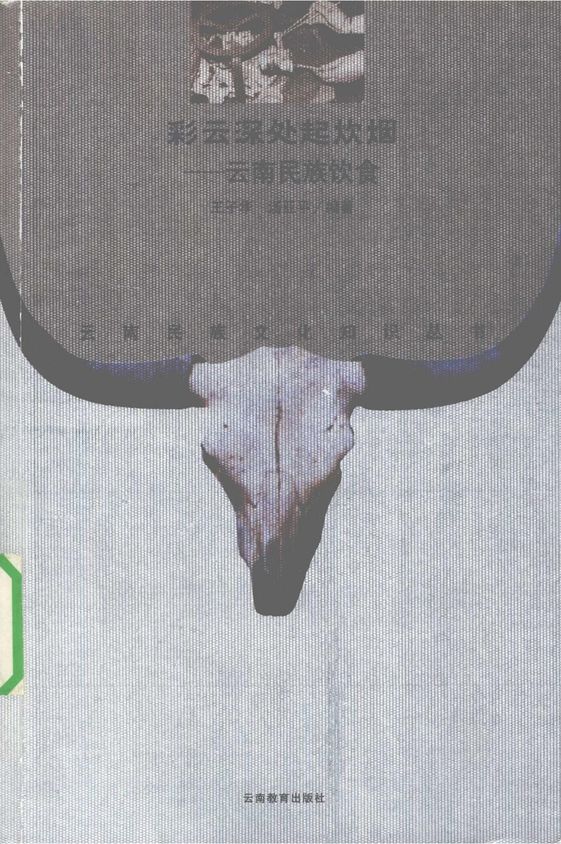 王子华，汤亚平编著：《彩云深处起炊烟——云南民族饮食》-滇史网