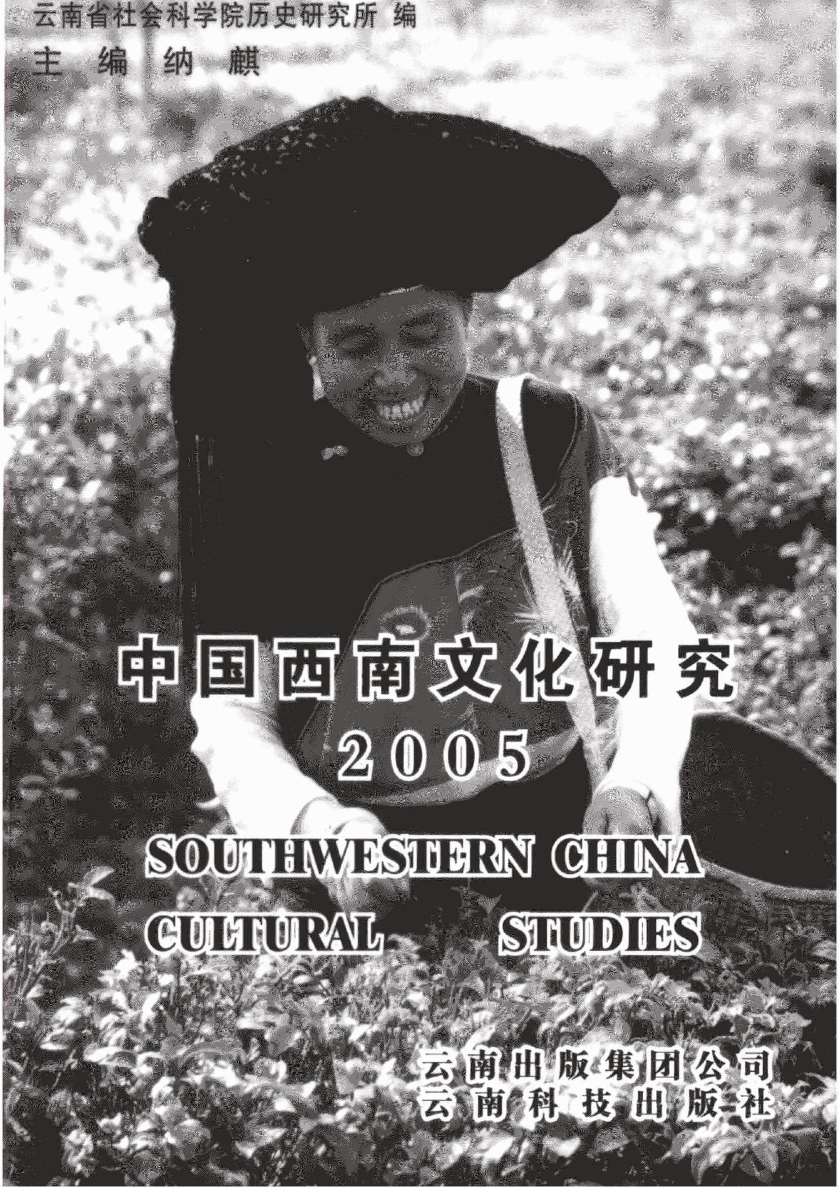 纳麟主编：《中国西南文化研究》（2005 总第八辑）-滇史网