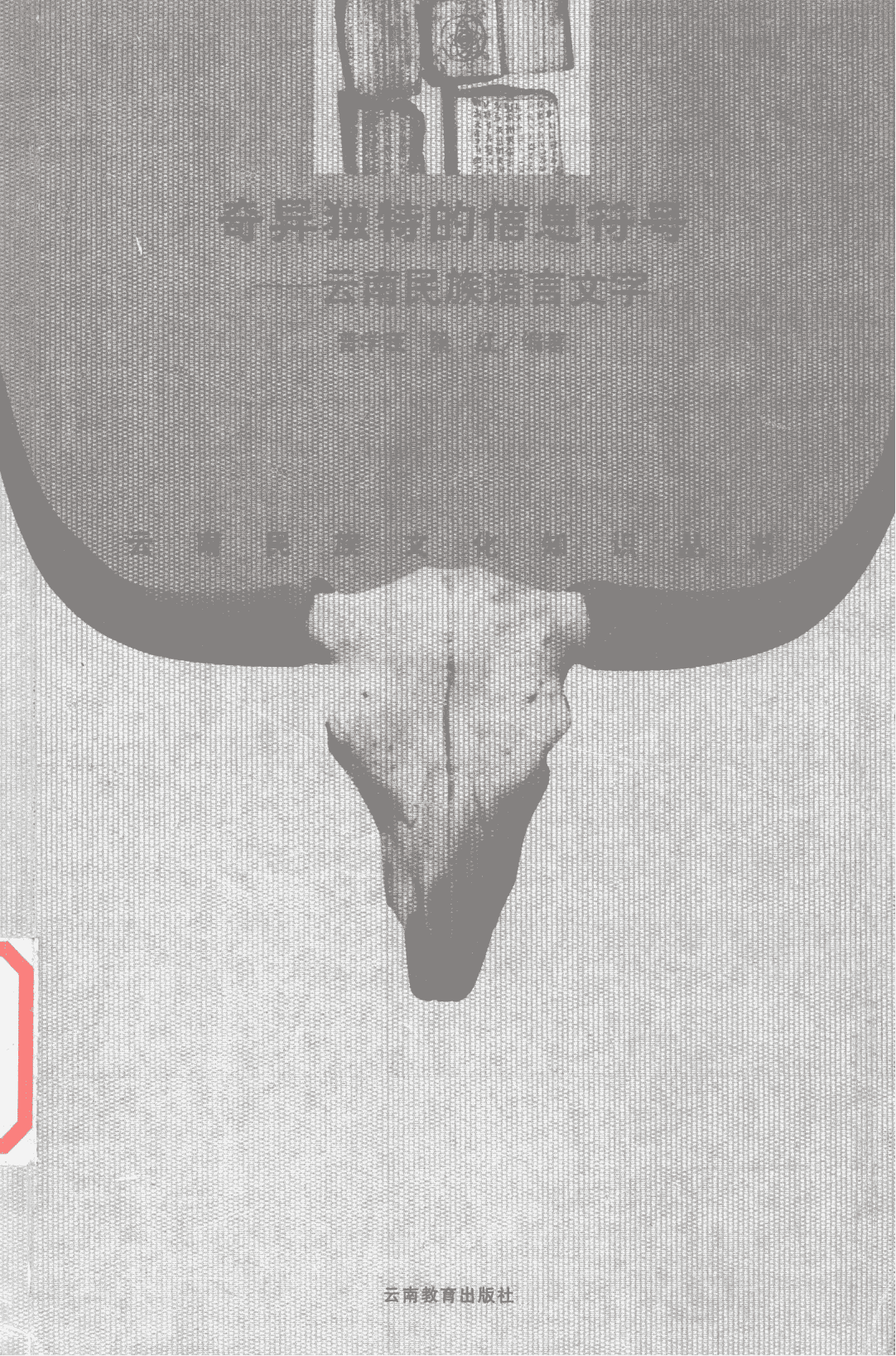 普学旺，梁红编著：《奇异独特的信息符号——云南民族语言文字》-滇史网