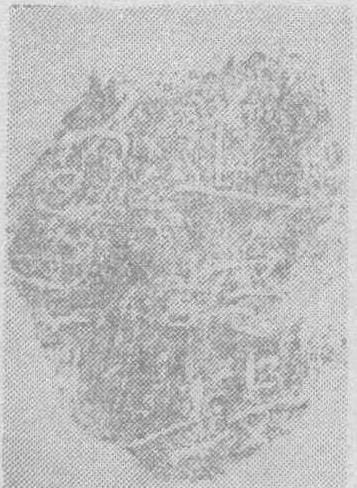 20240503213151316-WENW196006010_04100