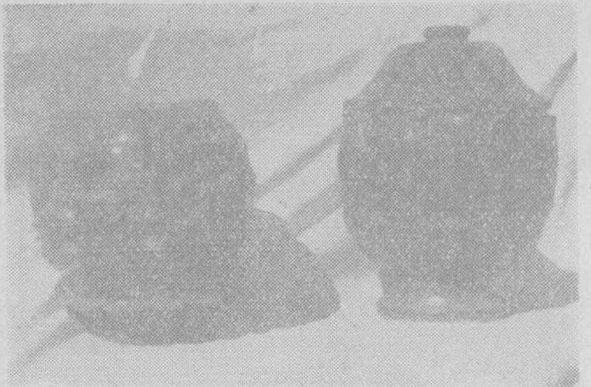 20240503213200615-WENW196006010_04500