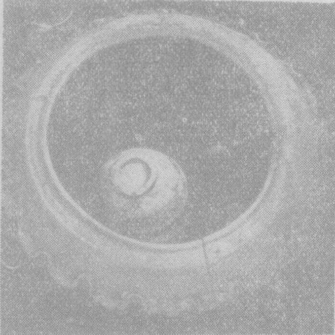 20240503213201162-WENW196006010_04600