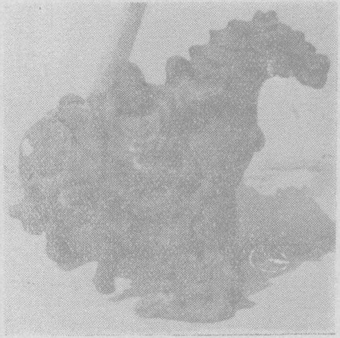 20240503213201924-WENW196006010_04700