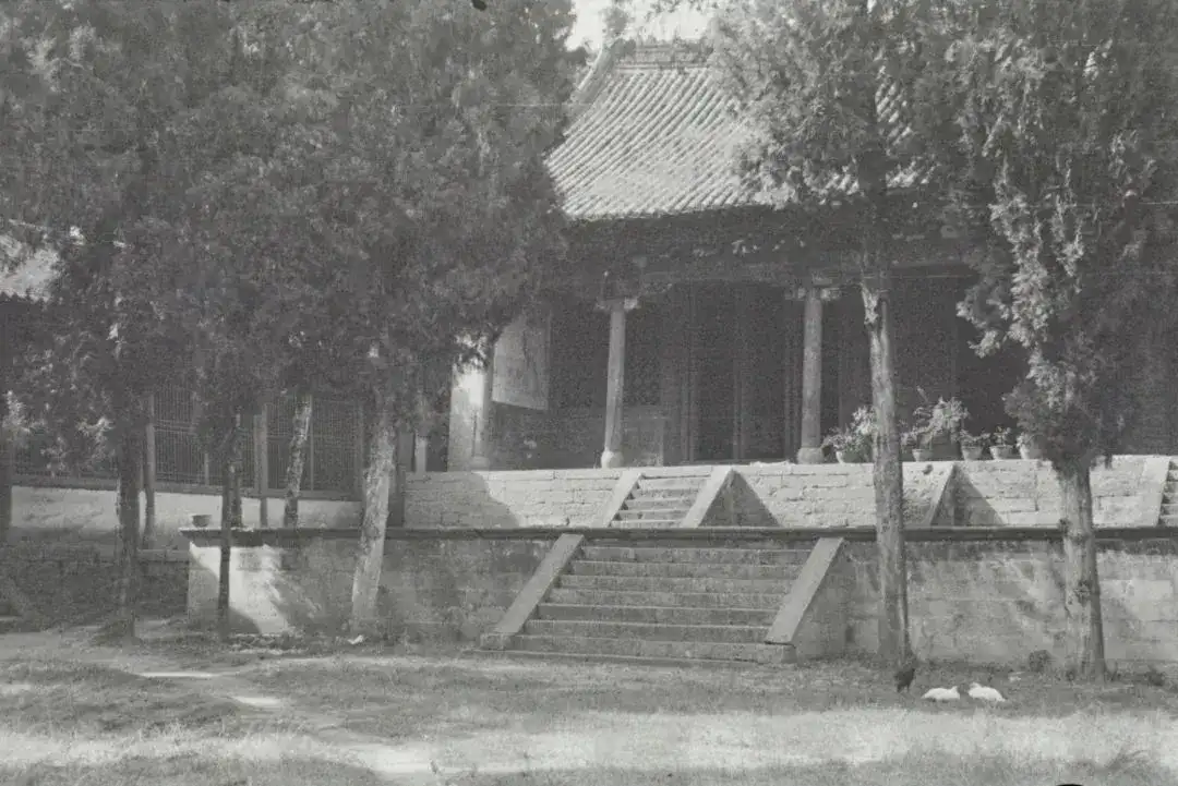 20240503214456722-文庙