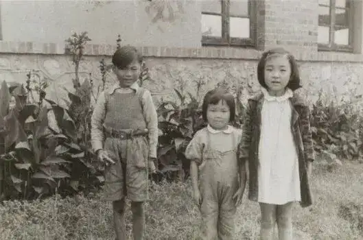 20240503214601434-吴景阳等