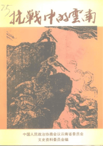 云南文史资料选辑（第50辑） 抗战中的云南-滇史网