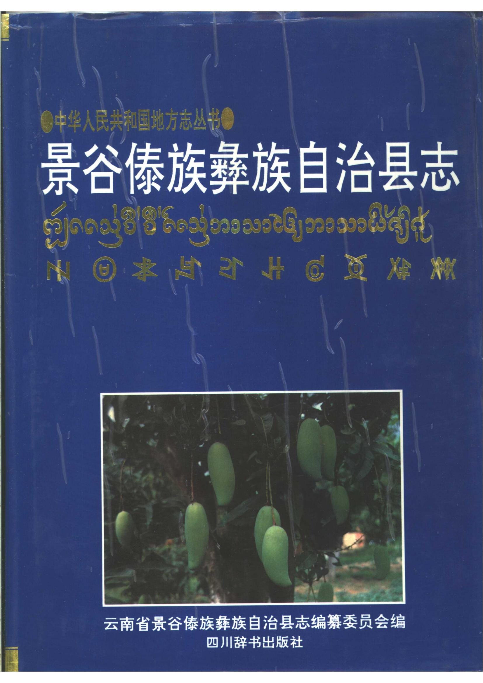 景谷傣族彝族自治县志-滇史网