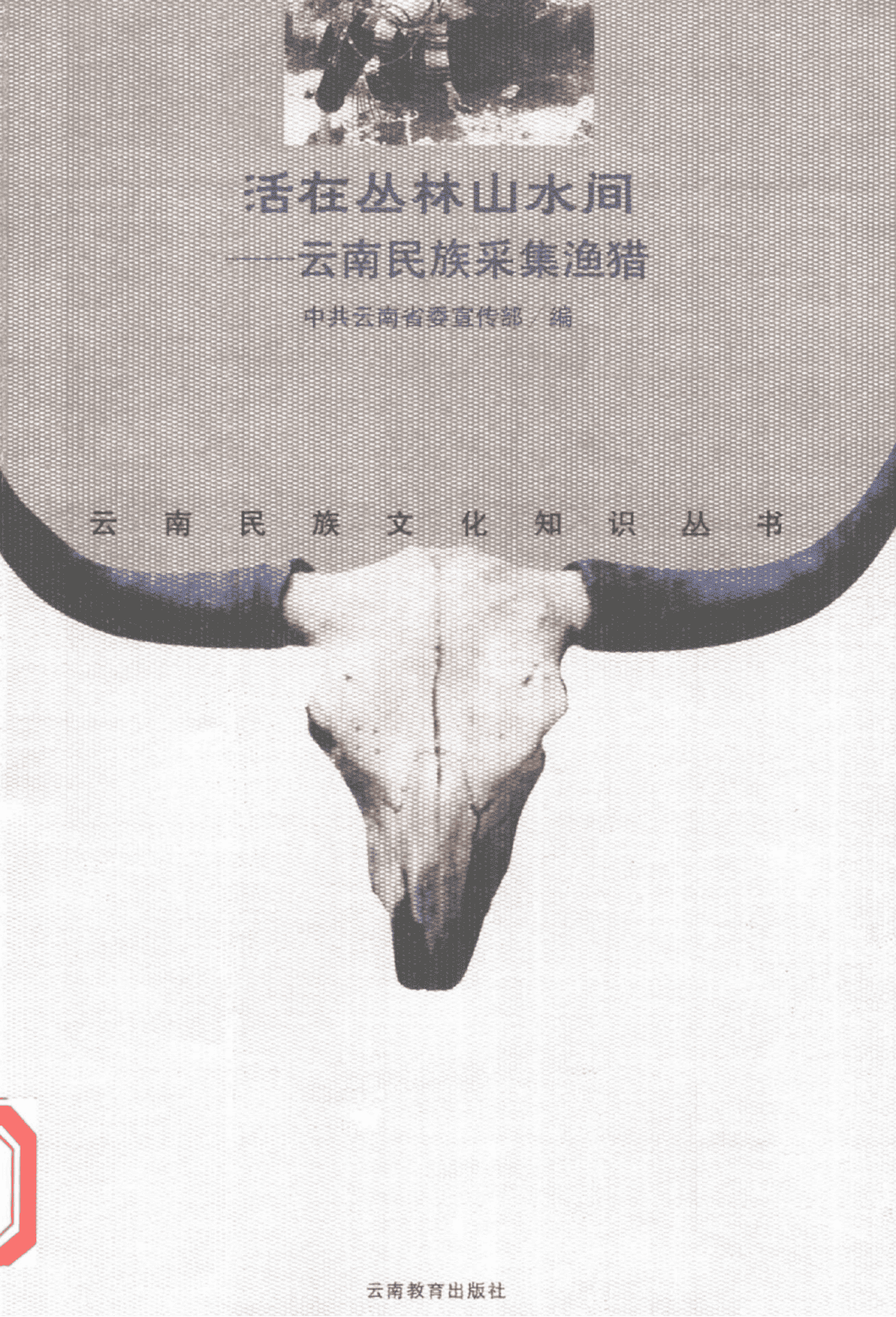 刘怡，芮鸿编著：《活在丛林山水间——云南民族采集渔猎》-滇史网