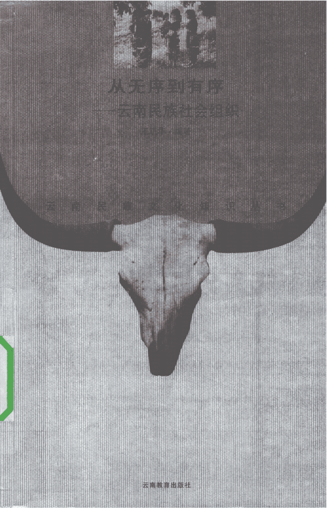 王正华编著:《从无序到有序——云南民族社会组织》-滇史网