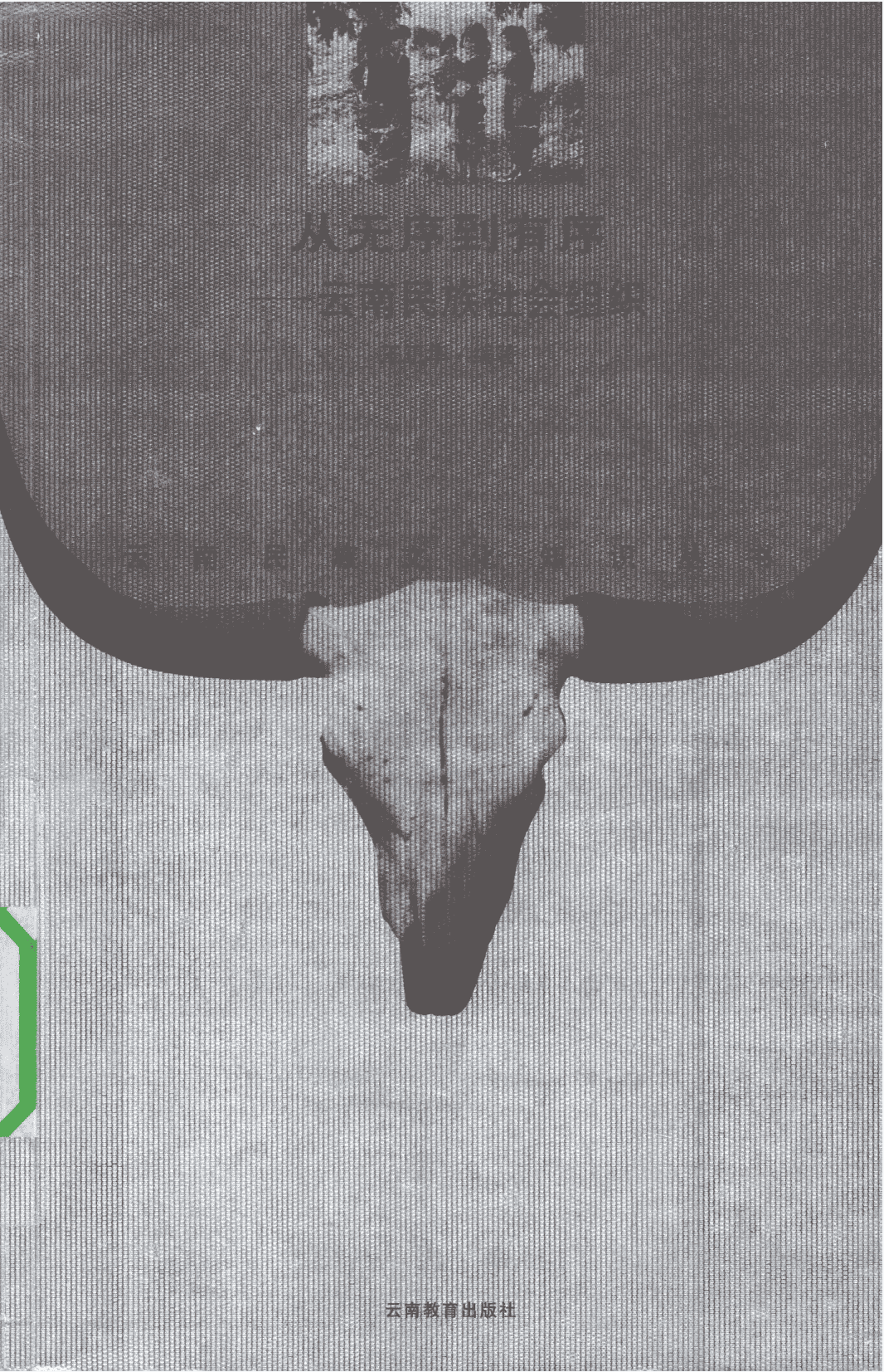 王正华编著：《从无序到有序——云南民族社会组织》-滇史网