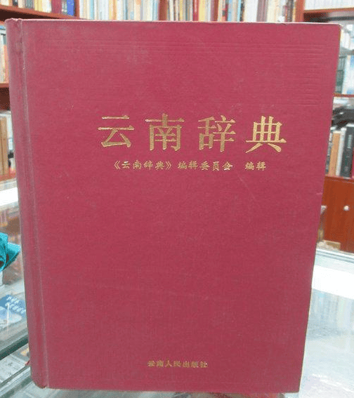 施之厚主编:《云南辞典》-滇史网