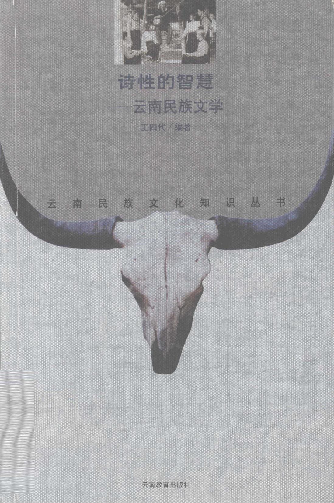 王四代编著：《诗性的智慧——云南民族文学》-滇史网