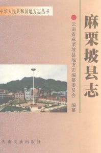 麻栗坡县志-滇史网