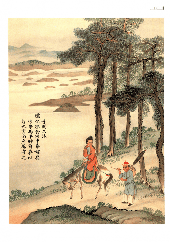 图片[3]-揣振宇主编：《滇省夷人图说》-滇史网