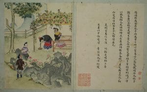 清《黔省诸苗全图》-滇史网