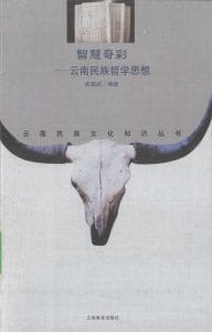 伍雄武编著：《智慧奇彩——云南民族哲学思想》-滇史网