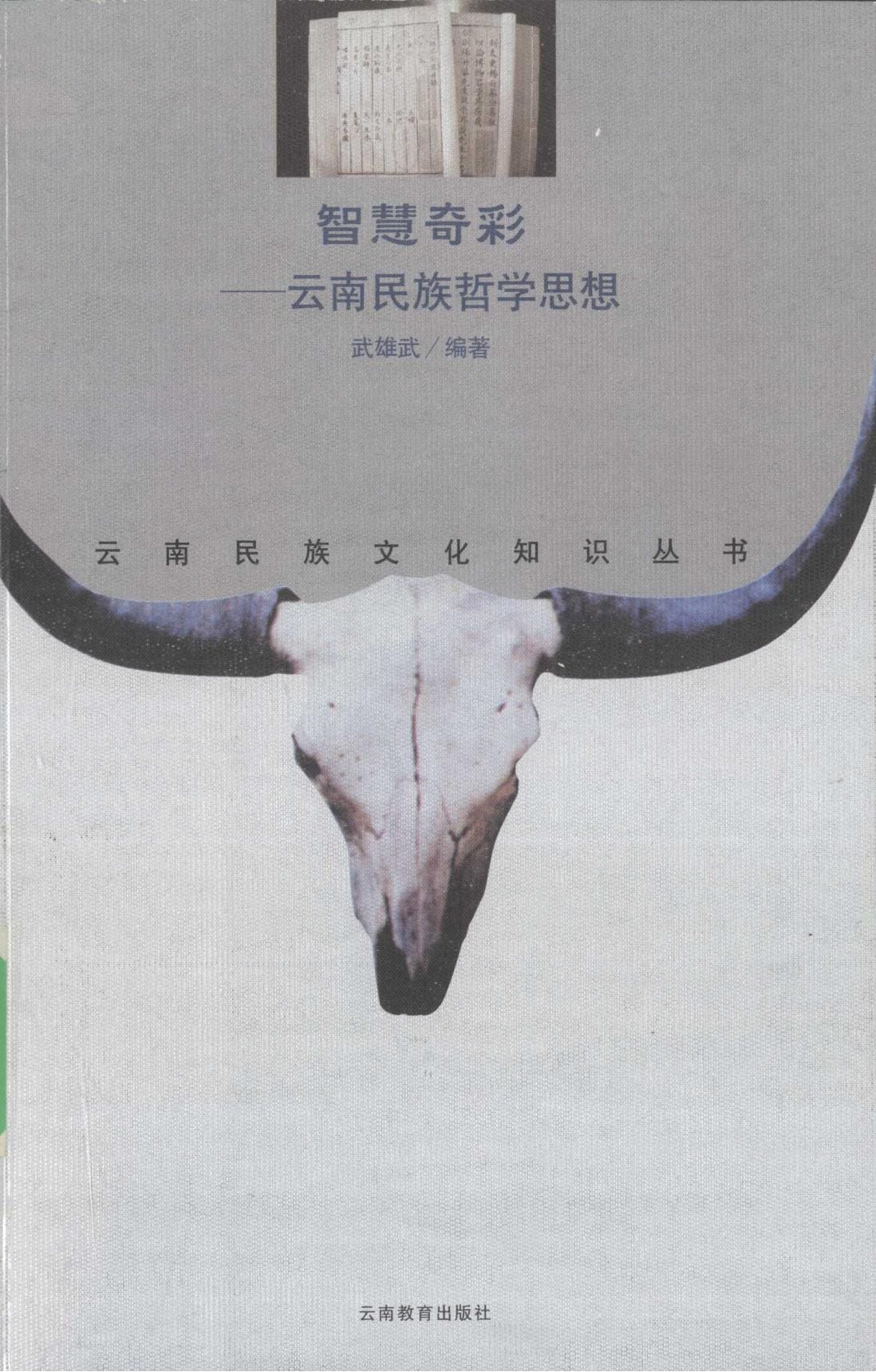伍雄武编著：《智慧奇彩——云南民族哲学思想》-滇史网