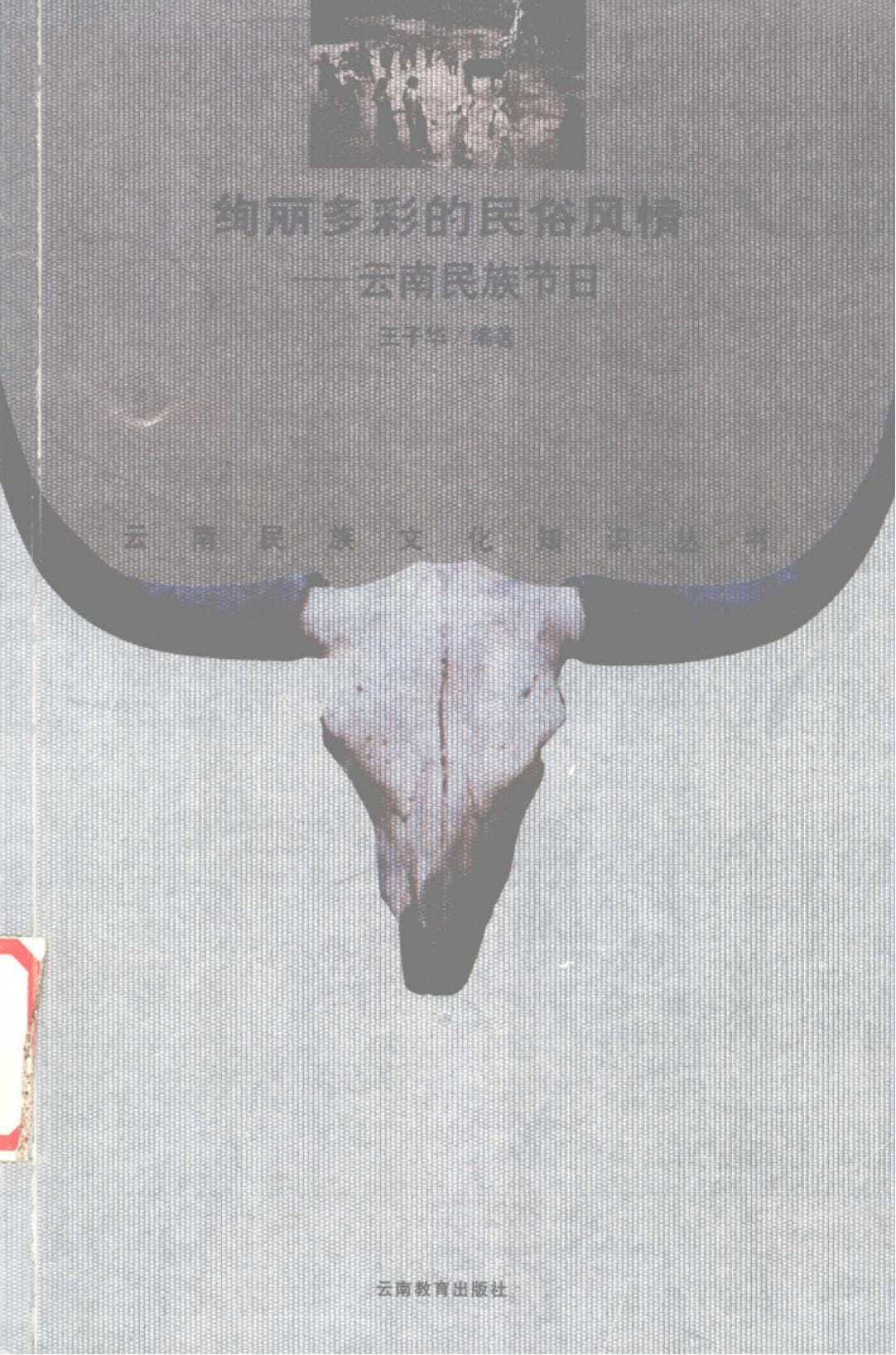 王子华编著:《绚丽多彩的民俗风情——云南民族节日》-滇史网