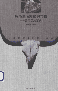 杨雪果编著:《传扬生活妙韵的巧技——云南民族工艺》-滇史网