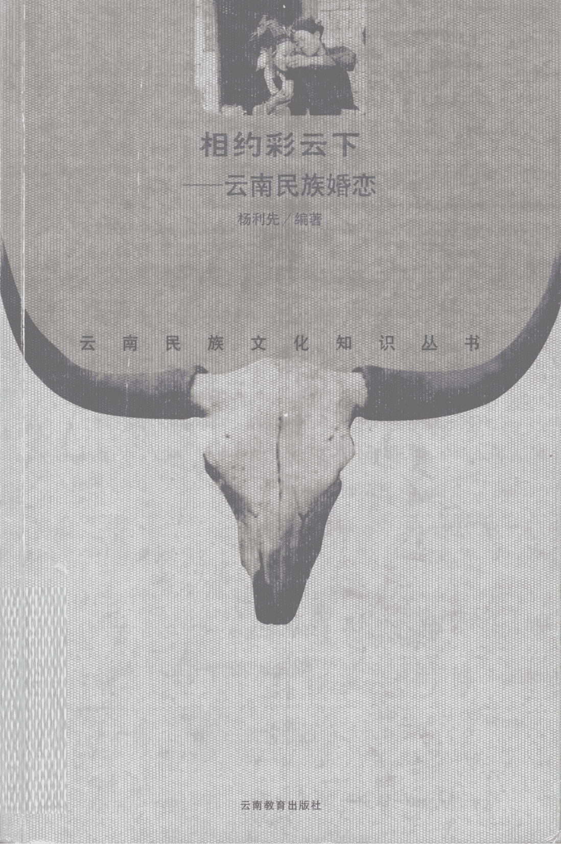 杨利先编著：《相约彩云下——云南民族婚恋》-滇史网