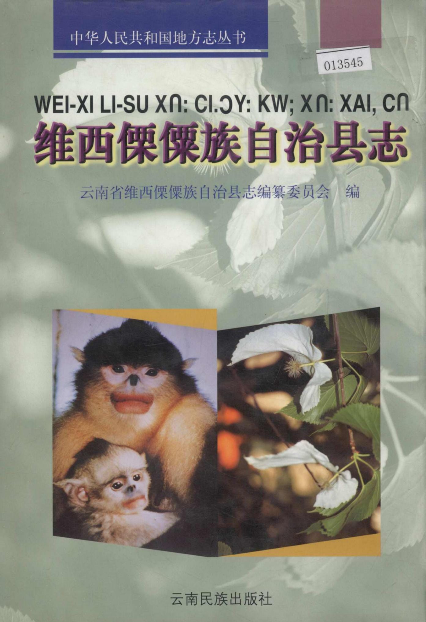 维西傈僳族自治县志-滇史网