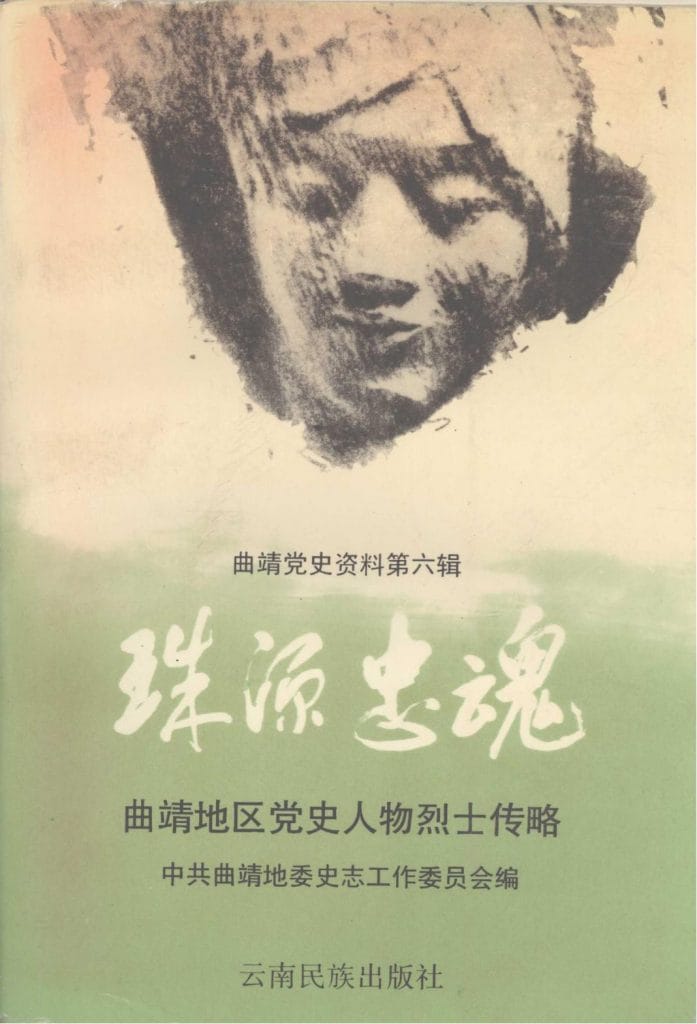 曲靖党史资料·第六辑·曲靖地区党史人物烈士传略-滇史网