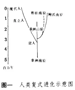 f55e15ed6220240606111029