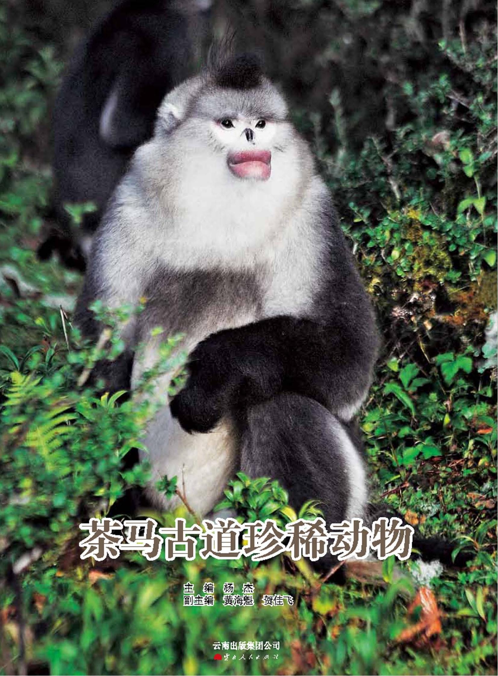 杨杰主编：《茶马古道珍稀动物》-滇史网