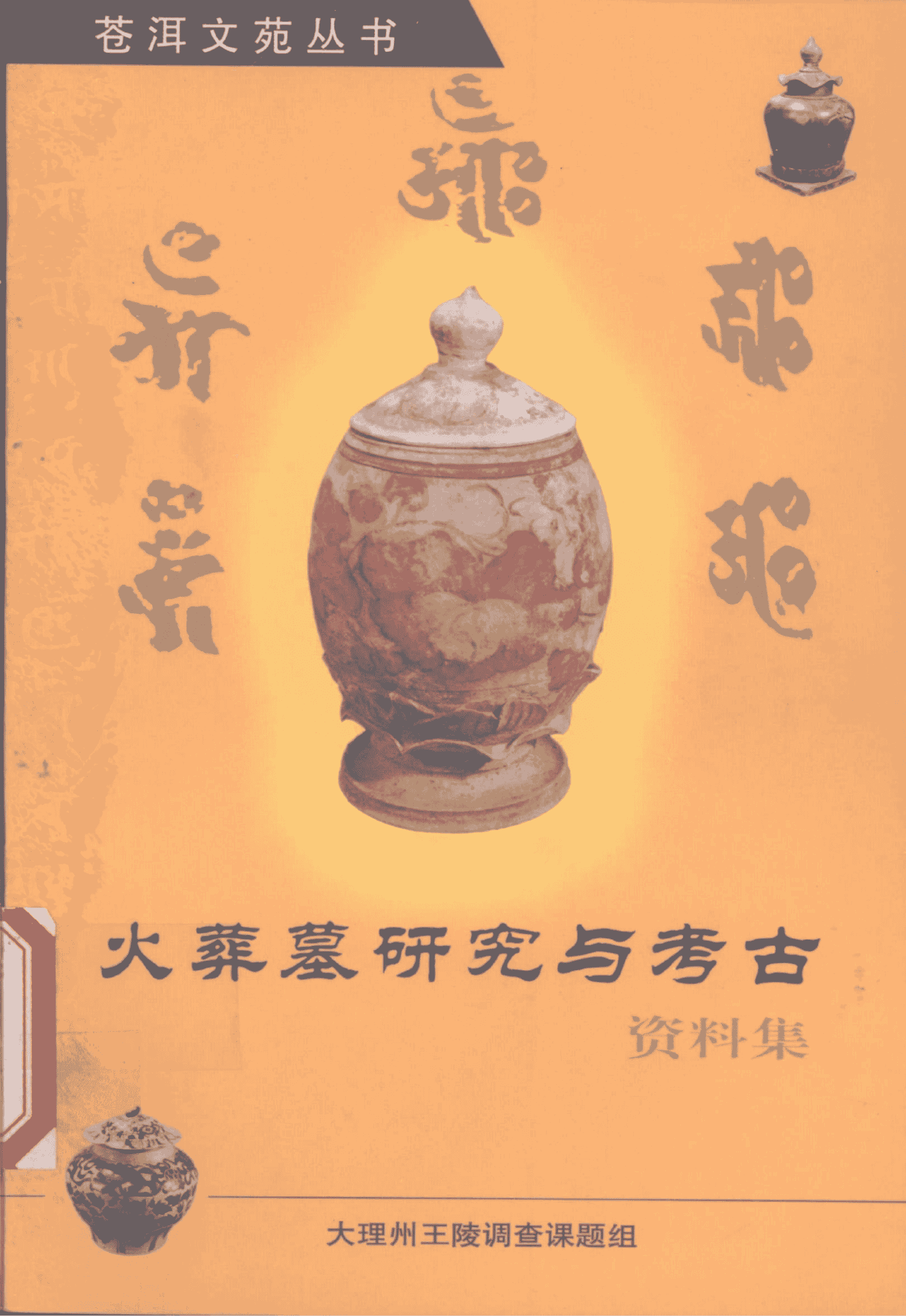 杨政业主编:《火葬墓研究与考古》-滇史网