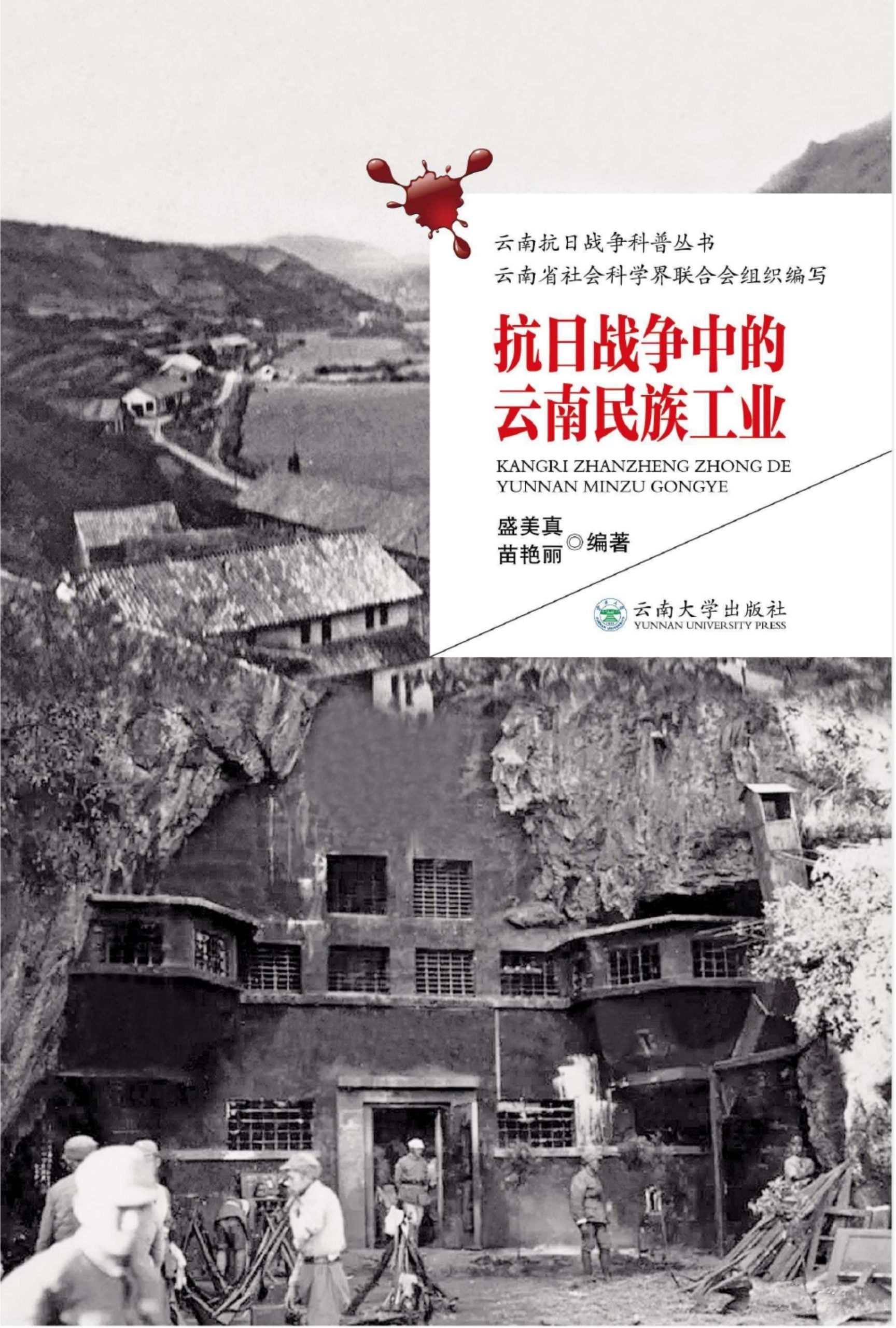 盛美真,苗艳丽编著:《抗日战争中的云南民族工业》-滇史网