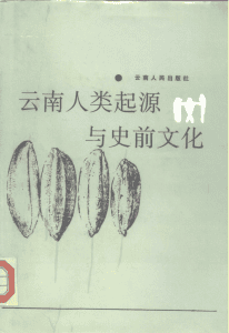 云南省博物馆编：《云南人类起源与史前文化》-滇史网