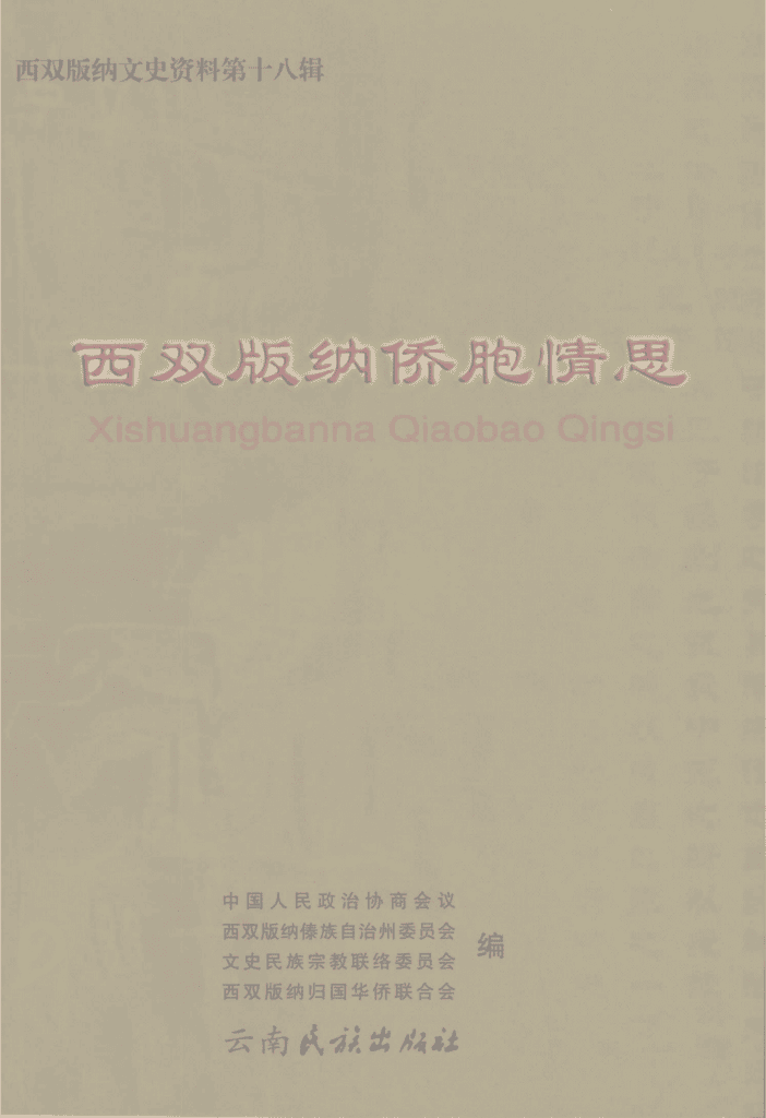 375789339920241125163335