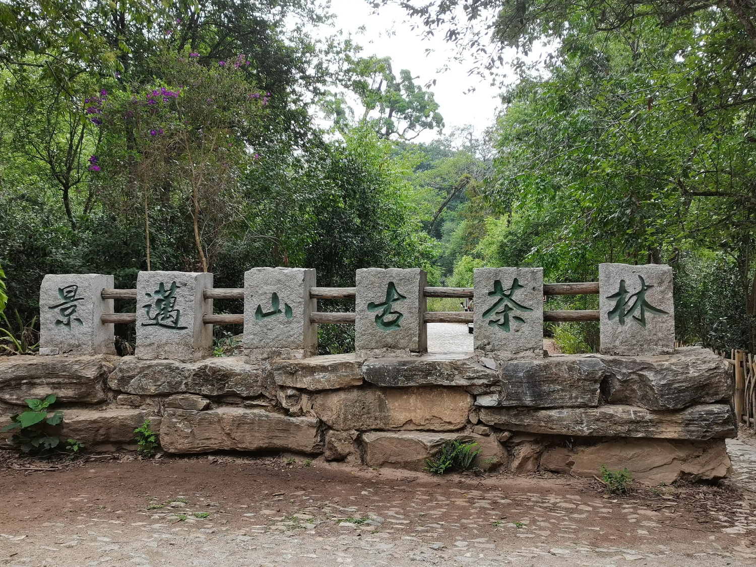 分类-云茶文化-滇史网